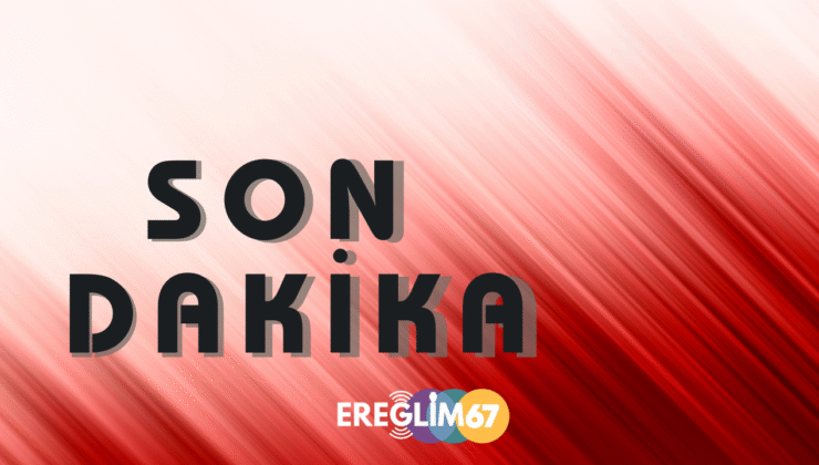 Kestiği ağacın altında can verdi…