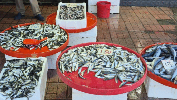 Balık kıtlığı… Bu sezon tezgahlar boş!