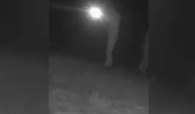 Fotokapan yerleştirildi… Kaçak avcılara ceza kesildi…
