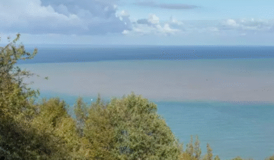 Yağmurun ardından deniz çamura büründü…