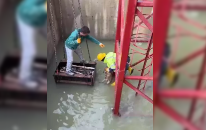 İnşaat alanında su dolu çukura düşen tilkiyi işçiler kurtardı…