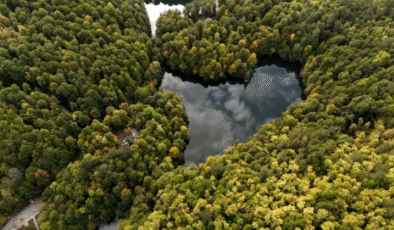 Sonbaharın farklı tonları görüntülendi…