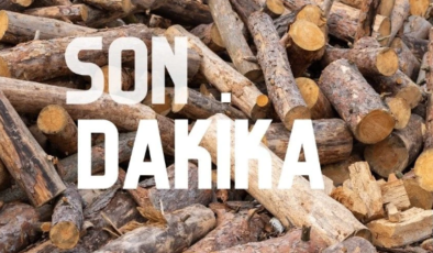 Kaçak kesim yapan 1 kişi tutuklandı…